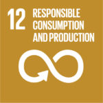 Goal 12: Ensure sustainable consumption and production patterns
